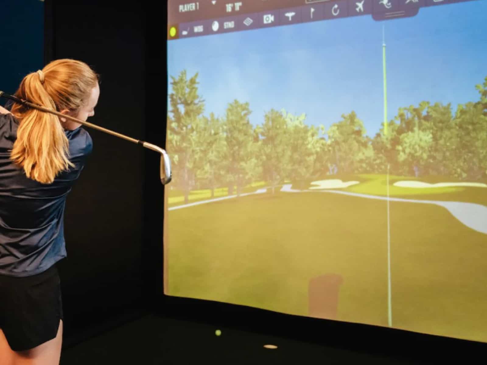 is golf simulator business profitable