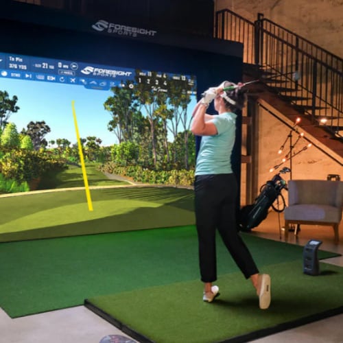 birdie plus golf sim