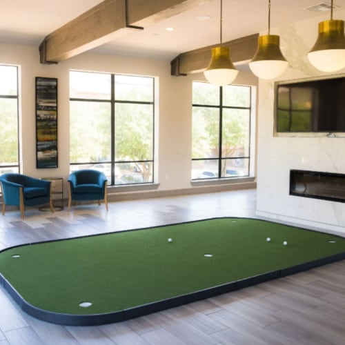 sigpro executive putting green