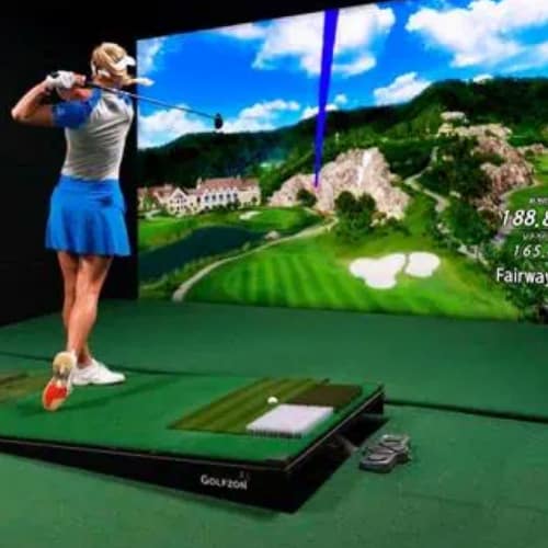 golfzon twovision simulator