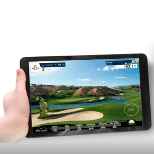 simulated golf course