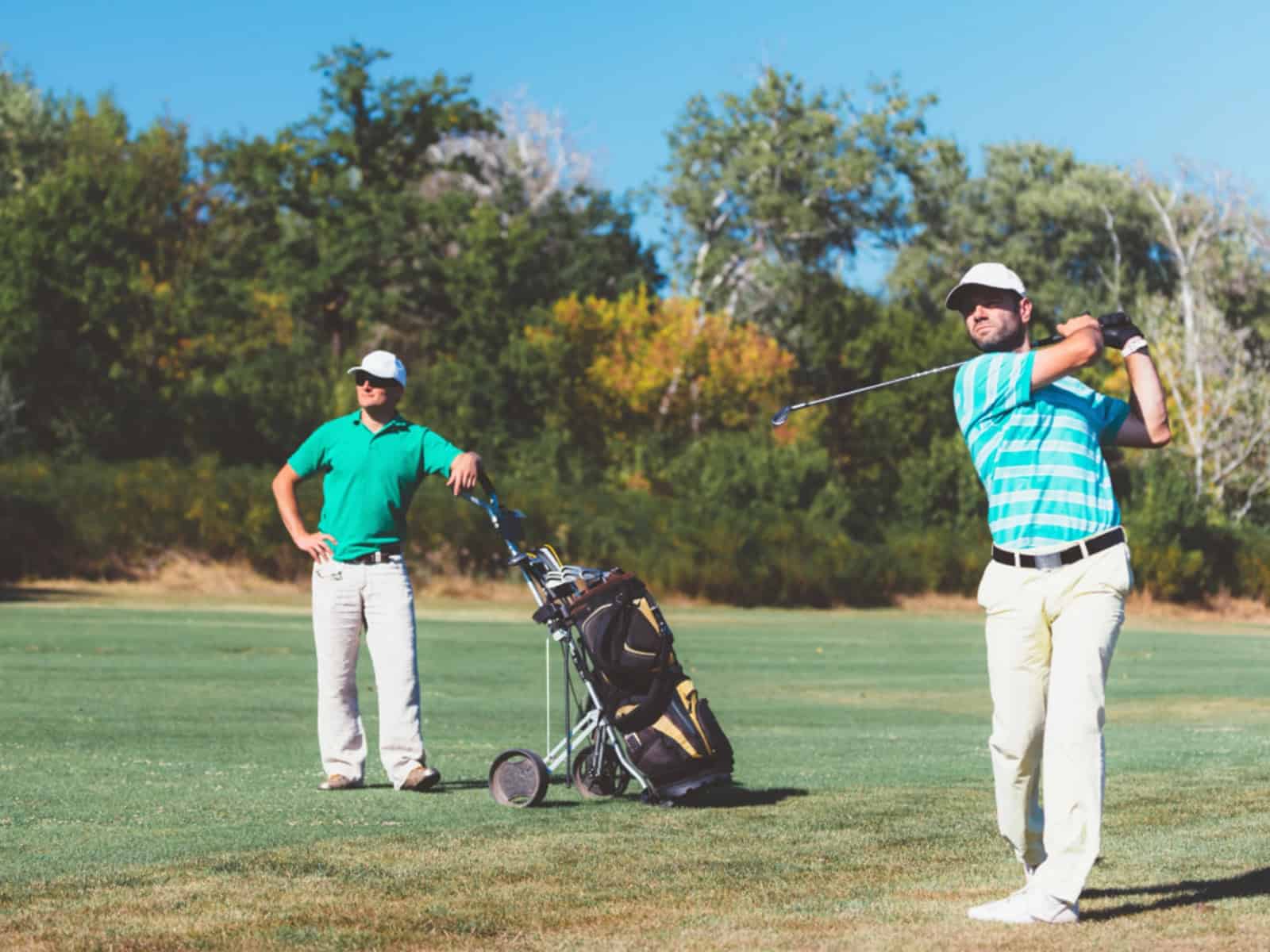 apex height explained